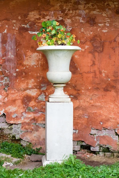 stock image Vase with flowers