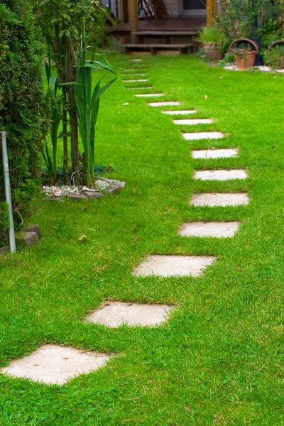 Road on the grass — Stock Photo, Image