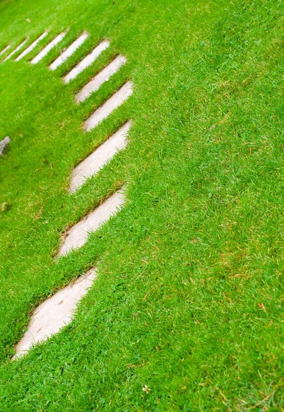 stock image Road on the grass