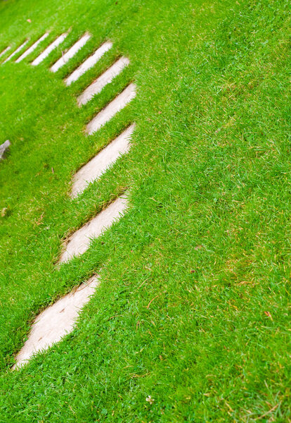 Road on the grass