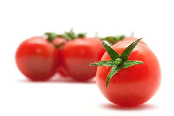 Tomatensatz Stockbild