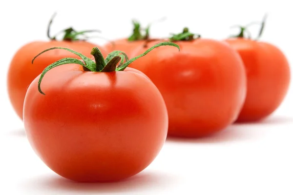 Sett med tomater – stockfoto