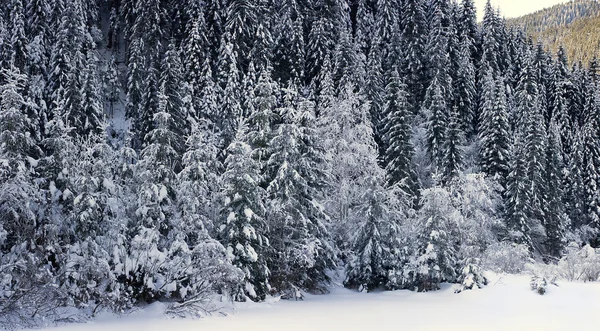 Montaña de invierno —  Fotos de Stock