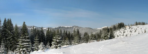 Vinter i Karpaterna — Stockfoto