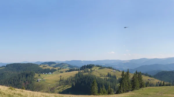 Carpathian summer scene — Stock Photo, Image