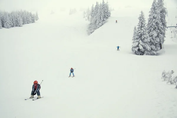 Giovani sciatori — Foto Stock