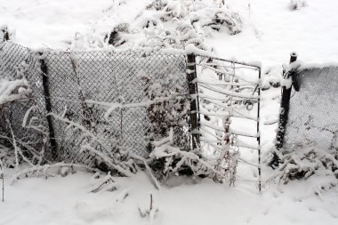 Gate and fence in snow clipart