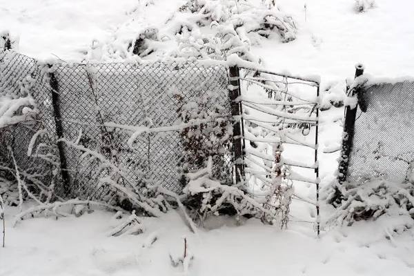 Portão e cerca na neve — Fotografia de Stock