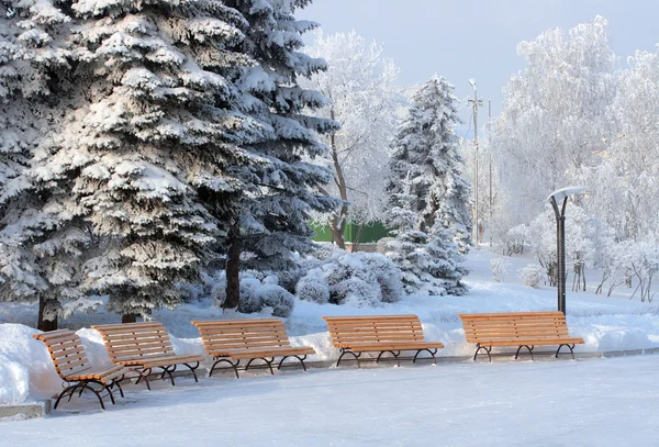 Bancos en nieve parque de invierno — Foto de Stock