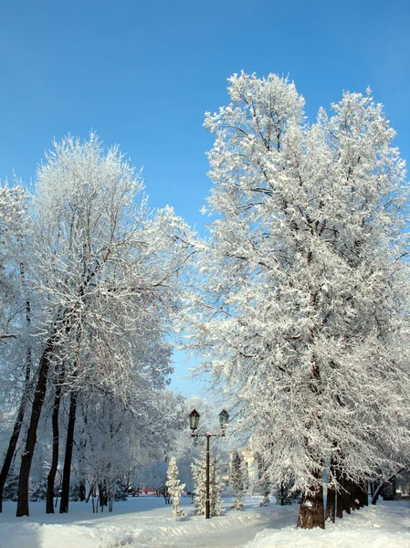 Parque de inverno de neve sob o céu azul — Fotografia de Stock