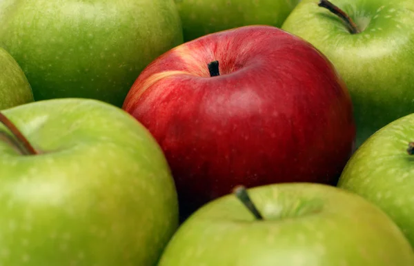 Rozdzielenie pojęć z jabłkami — Zdjęcie stockowe