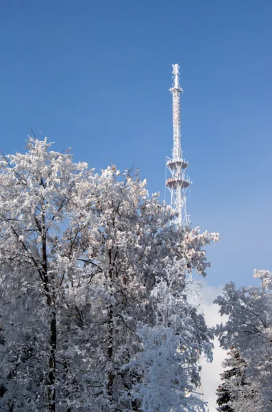 stock image Television antenna and trees