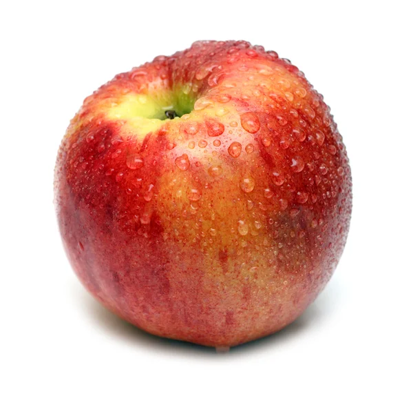 Мокрое красное яблоко с каплями воды — стоковое фото