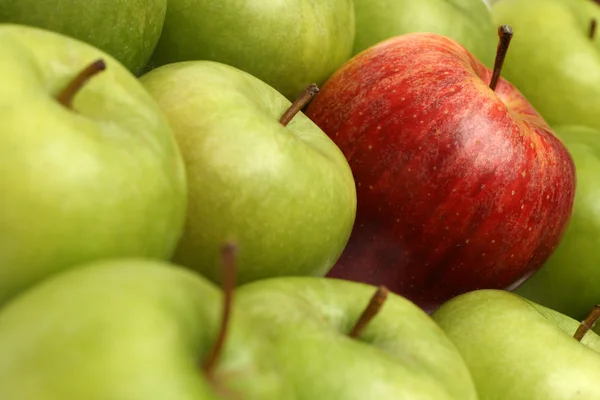 Különböző fogalmak almával — Stock Fotó
