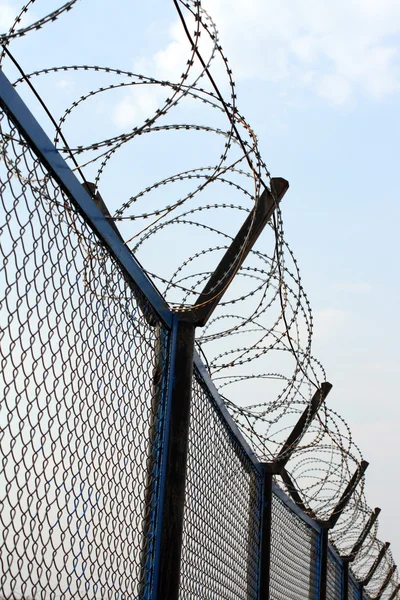 Забор с колючей проволокой — стоковое фото