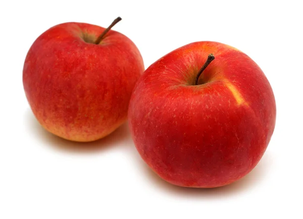 Duas maçãs brilhantes vermelhas — Fotografia de Stock