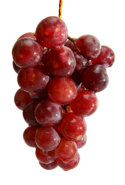 Mokre kiść winogron — Zdjęcie stockowe