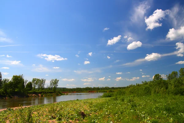 Літній пейзаж з річкою — стокове фото