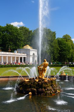 Samson fountain in petergof clipart