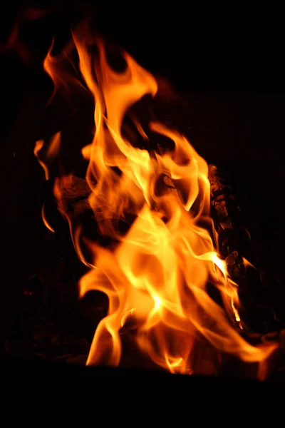 Bonfire flame — Stock Photo, Image