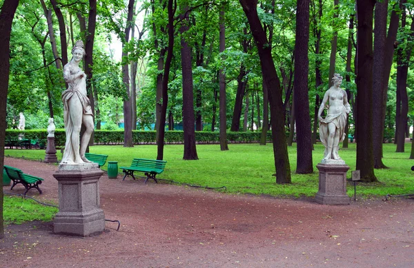Jardins de verão em São Petersburgo — Fotografia de Stock