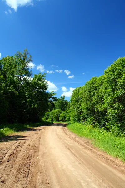Сельская дорога в лесу — стоковое фото