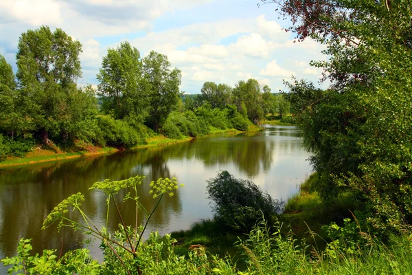 Verão paisagem lago — Fotografia de Stock