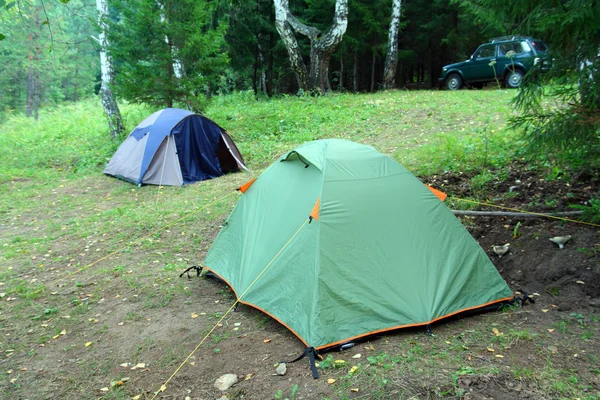 Duas tendas na floresta — Fotografia de Stock