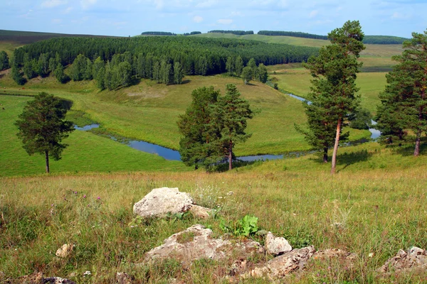 Hills summer landscape — Stock Photo, Image
