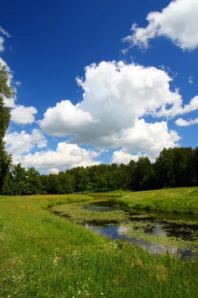 Пейзаж пруда в Павловском парке — стоковое фото