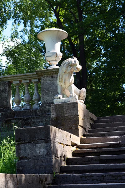 Escultura de león en escaleras — Foto de Stock