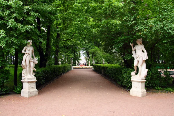 Parque de jardins de verão em São Petersburgo — Fotografia de Stock
