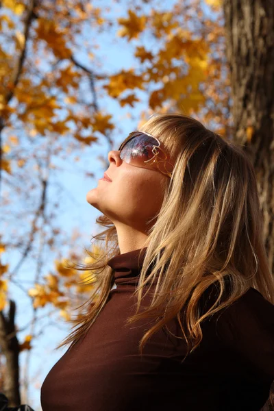Schöne Mädchen auf Herbst Hintergrund — Stockfoto