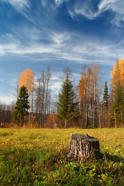 Höst landskap i Ural berg — Stockfoto