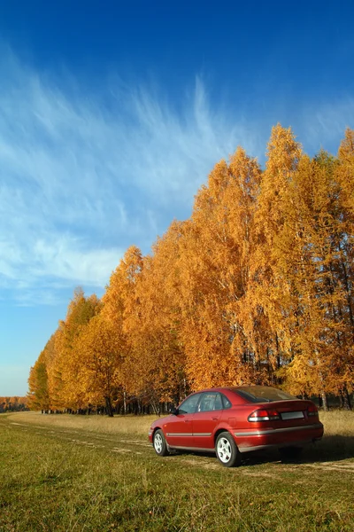 Carro vermelho perto da floresta de outono — Fotografia de Stock