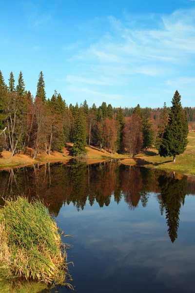 有森林湖的秋天风景 — 图库照片