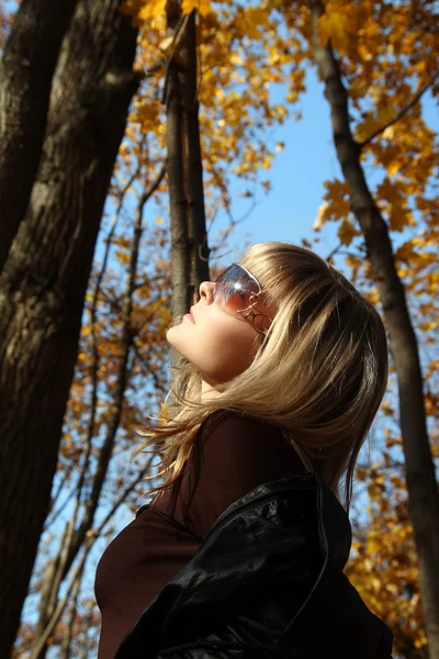 Krásná dívka na podzimním pozadí — Stock fotografie