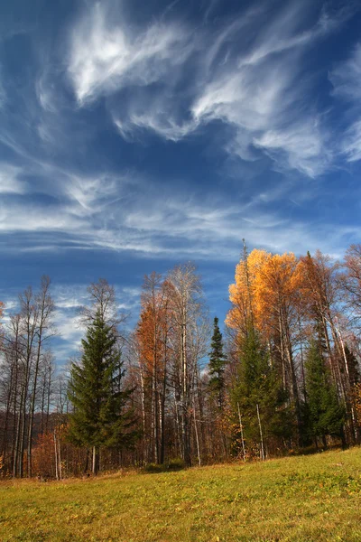 Herfst landschap in de Oeral bergen — Stockfoto