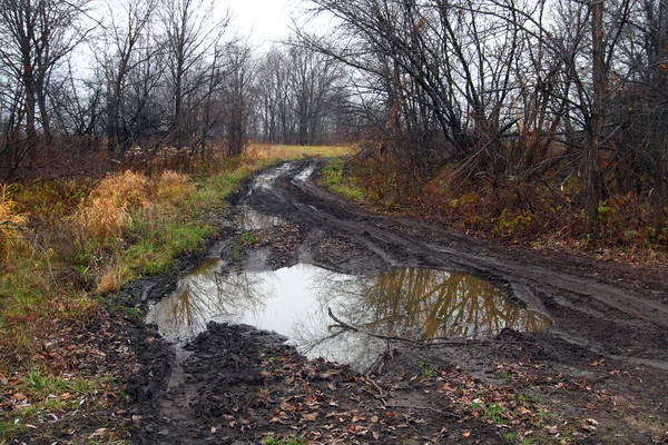 Dirty road with puddle — Stock Photo, Image
