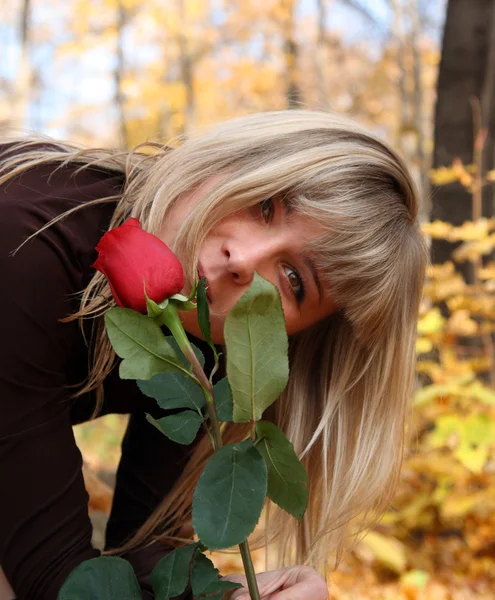 Girl with rose in autumn park Royalty Free Stock Images