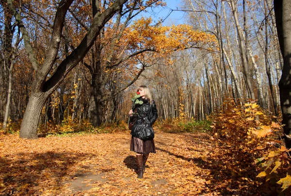 Дівчина ходить по алеї осіннього парку — стокове фото