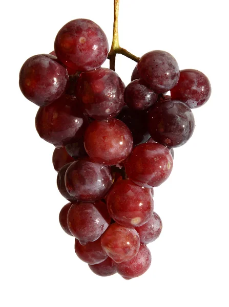 stock image Wet grape berry bunch