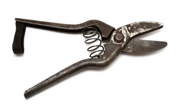 Staré zahradnické nůžky — Stock fotografie