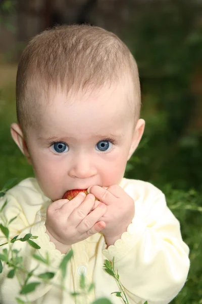 Baby biting apple in grass — Stok fotoğraf
