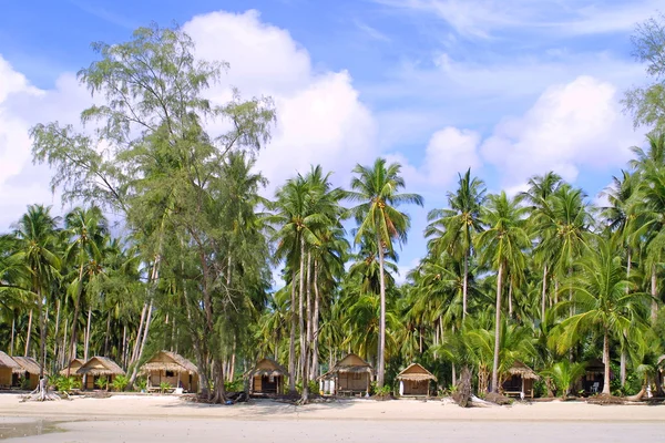Хижины и кокосовые пальмы — стоковое фото
