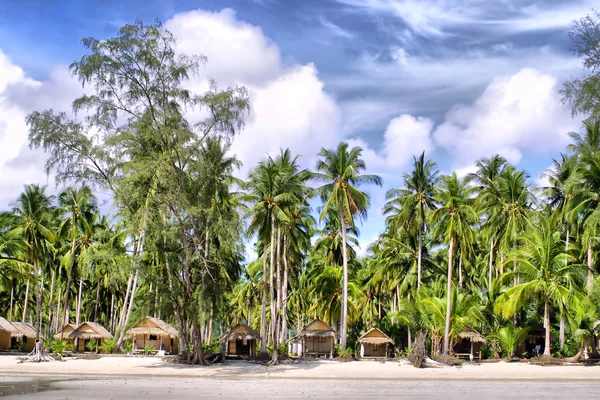 Chaty a kokosové palmy — Stock fotografie
