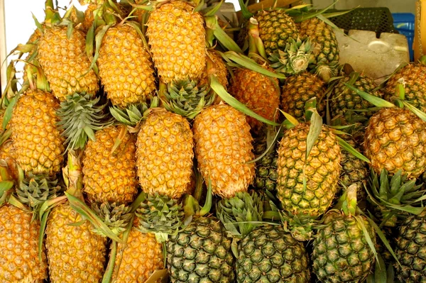 stock image Heaps of pineapples