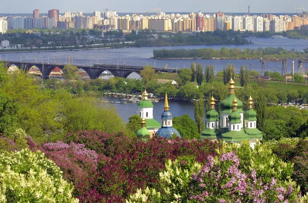 Киевский ботанический сад — стоковое фото