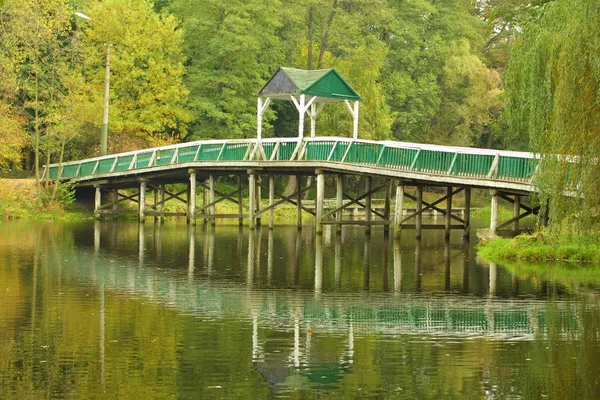 Καταπράσινο πάρκο με λίμνη και μικρή γέφυρα — Φωτογραφία Αρχείου