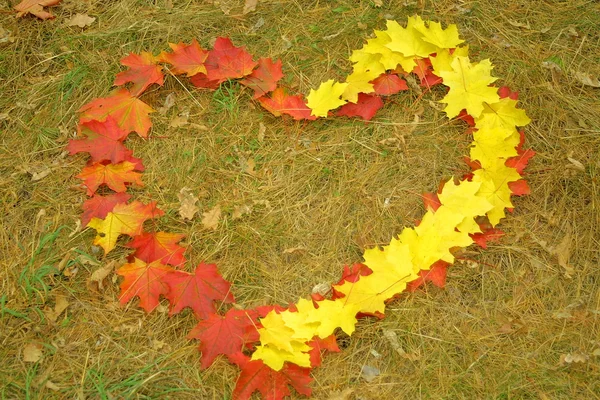 Símbolo del corazón hecho de hojas — Foto de Stock